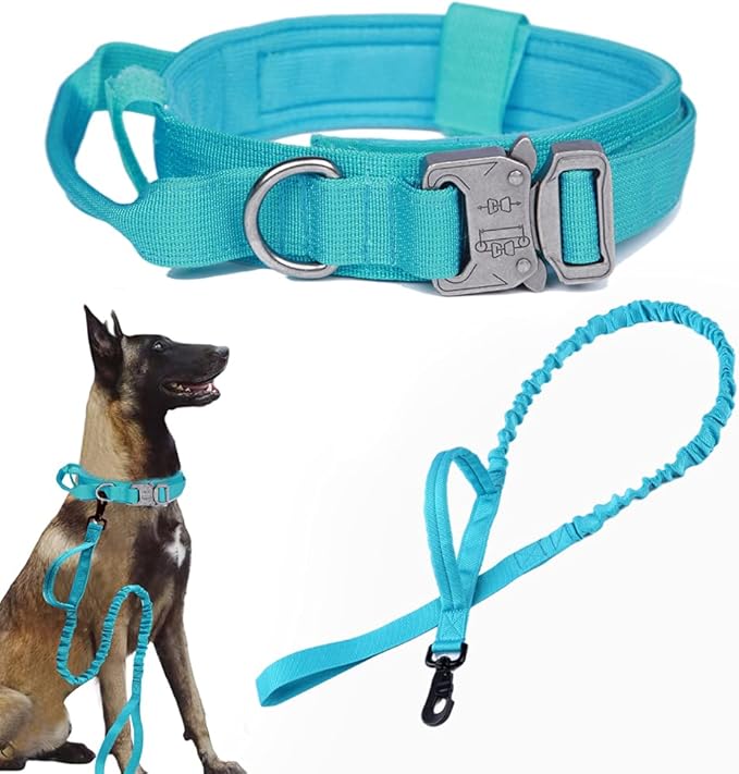 Xqpetlihai Tactical Dog Collar and Leash Set Adjustable Military Nylon Dog Collar with Control Handle and Heavy Duty Metal Buckle for Large Dogs（Blue M