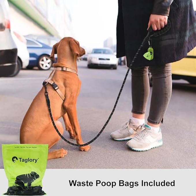 Taglory Rope Dog Leash 4 FT with Comfortable Padded Handle, Highly Reflective Threads Leash and Anti-Tangle Clip for Walking Small Dogs, 3/8 inch, Black
