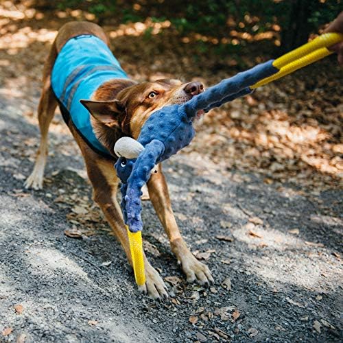ZippyPaws RopeTugz Durable Dog Pull Rope Toy - Blue Monkey - Image 3