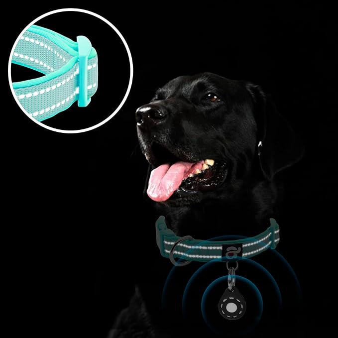 azuza Reflective Dog Collar with Airtag Holder, Soft Neoprene Padded Pet Collar with ID Tag Ring, Adjustable for Large Dogs,Teal,L