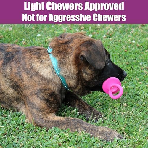 SPOT Puppy Pacifier Latex Dog Toy – Soft Binky-Shaped Chew for Teething Puppies & Small Dogs, 4.5 Inch, for Light Chewers Only, Squeaky Natural Latex, Assorted Colors - Image 6