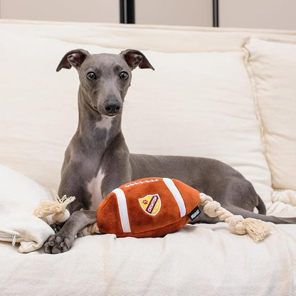 CHEWFFON Durable Dog Football Toy with Rope - Interactive Tug Toy for Small, Medium & Large Dogs - Outdoor Fetch Ball & Teething Puppy Toy
