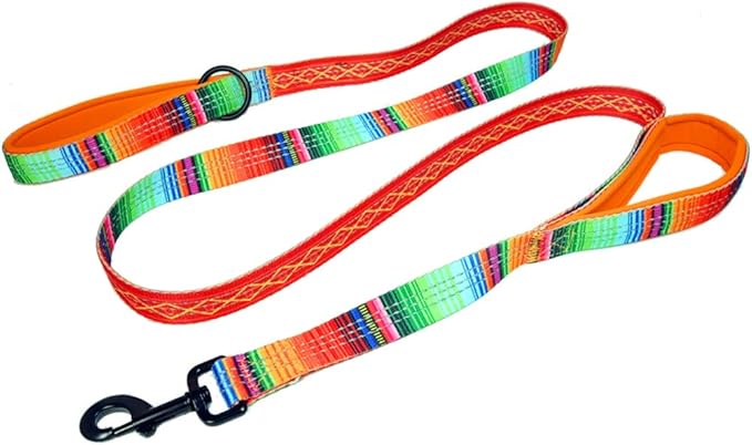 Double Handle 6 Foot Reflective Leash with Padded Handle - Pattern Collection
