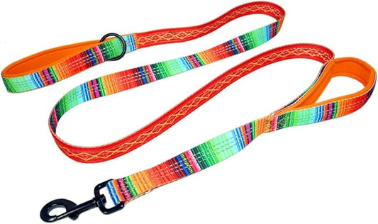 Double Handle 6 Foot Reflective Leash with Padded Handle - Pattern Collection