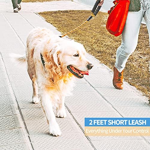 BAAPET 2/4/5/6 FT Dog Leash with Comfortable Padded Handle and Highly Reflective Threads for Small Medium and Large Dogs (2FT-1/2'', Orange) - Image 5