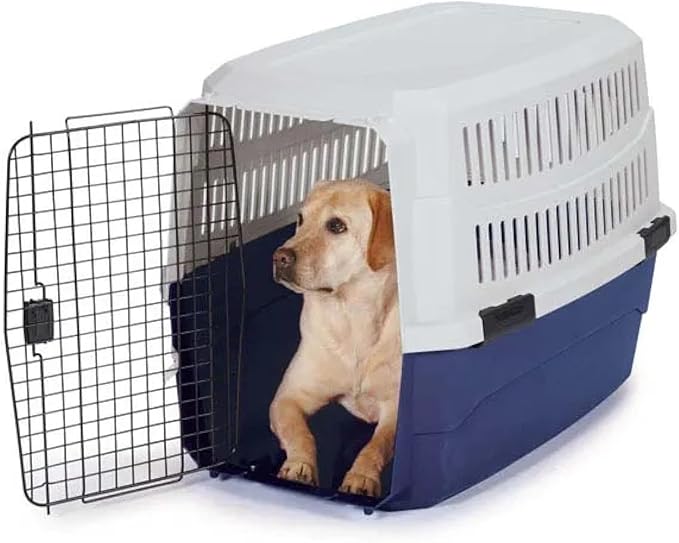Airline Approved Pet Travel Crate Heavy Duty Plastic Blue Grey Secure Dog Cage Kennel Cab Contain Your Pet Safely (Medium)