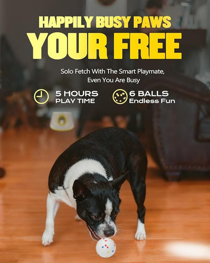 Automatic Ball Launcher for Dogs, Dog Ball Thrower Launcher - 2.3" Dog Balls* 6Pack (Yellow)