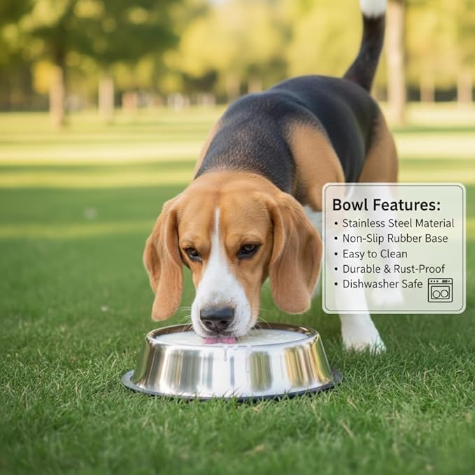 Printed Bowl 23.6 fl oz Anti-Skid Food and Water Dog Bowl | Stainless Steel Bowl for Dogs and Cats | Dog Water and Food Bowl | Dog Feeding Bowl (Silver)
