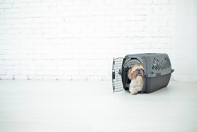 Petmate Pet Porter Dog Kennel 24", Dark Gray & Black, for Pets 15-20lbs