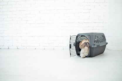 Petmate Pet Porter Dog Kennel 24", Dark Gray & Black, for Pets 15-20lbs