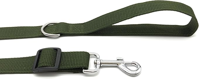 TAIAN Adjustable Nylon Dog Leash, 6FT/10 FT Long Dog Leashes for Small Medium Large Dogs (1 in x 10 ft, Green)