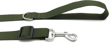 TAIAN Adjustable Nylon Dog Leash, 6FT/10 FT Long Dog Leashes for Small Medium Large Dogs (1 in x 10 ft, Green)