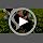Tactical Dog Harness and Leash Set Small Sized Dog+10 Dog Patches - Image 7