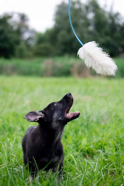 Dingo Sheepskin Dog Toy with Long Blue Lead 50", Interactive Dog Toys, Dog Agility, Motivation and Reward tug Toy 15583,