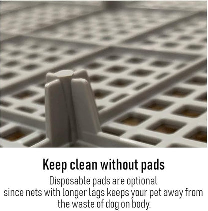 PS KOREA] Indoor Dog Potty Tray - with Protection Wall Every Side for No Leak, Spill, Accident - Keep Paws Dry and Floors Clean (Wine)