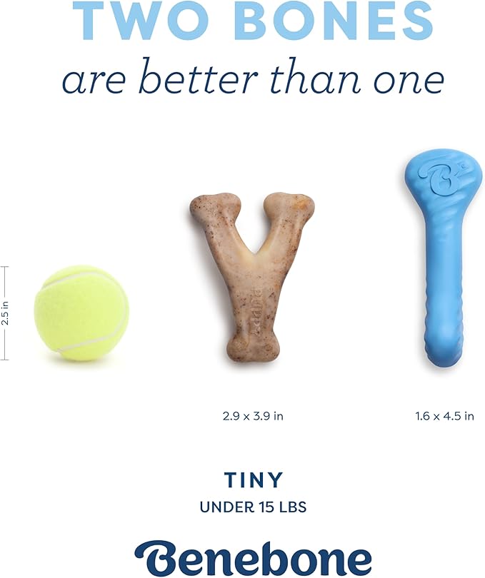 Benebone Puppy 2-Pack Rubber Bone/Wishbone Bacon Tiny