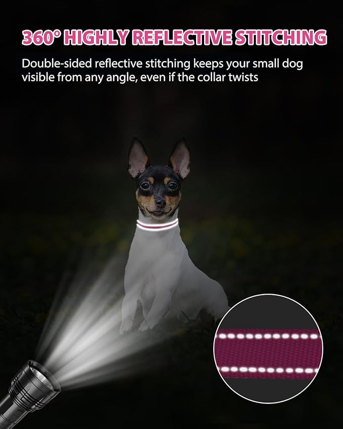 Joytale Puppy Collar, Feather-Light Double-Sided Reflective Nylon Collar for Night Safety, Adjustable Quick-Release for Extra Small Dogs, Hotpink, XS (3/8" Width)