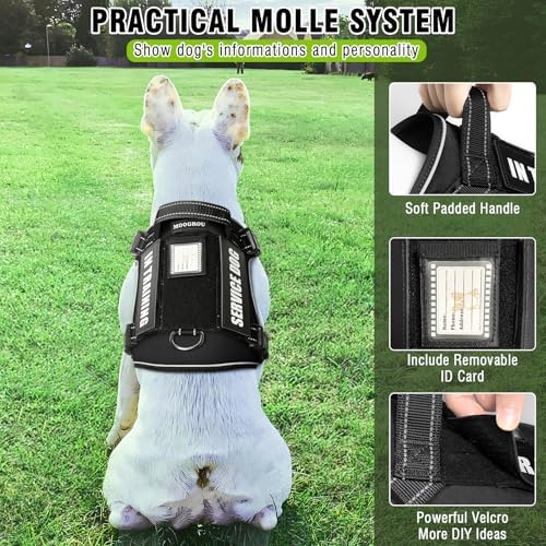 Tactical Dog Harness and Leash Set Medium Sized Dog+10 Dog Patches - Image 3