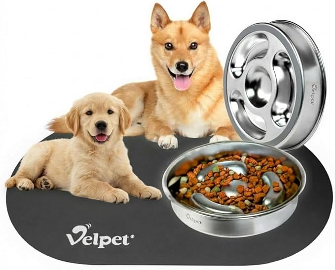 Stainless Steel Slow Feeder Dog Bowl with Absorbent Non-Slip Mat | Designed to Slow Eating | 304 Stainless Steel, Dishwasher Safe, Durable One-Piece Design for All Breeds