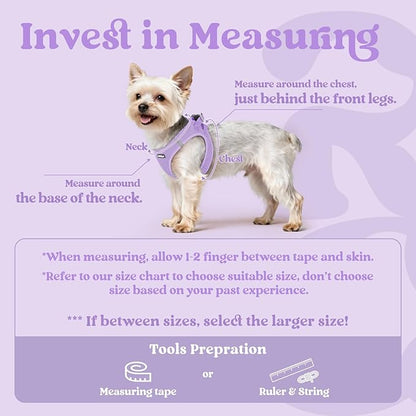 rabbitgoo Small Dog Harness, Step-in Soft Mesh Puppy Vest with Safety Buckle, Breathable Reflective Pet Harness for Small Medium Dogs, Light Purple XL