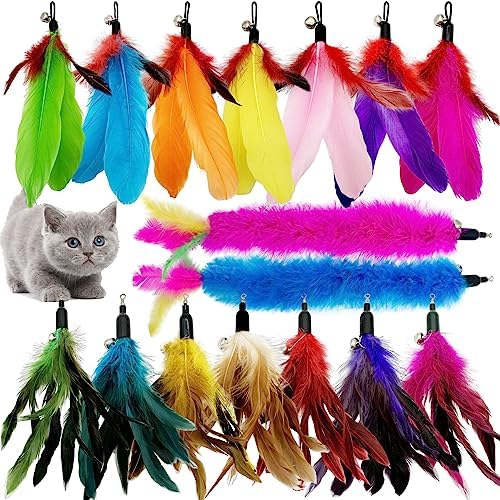 Cat Feather Toys Refill, 16 Pieces Cat Wand Replacement Feathers Toy for Indoor Cats by CATENEED