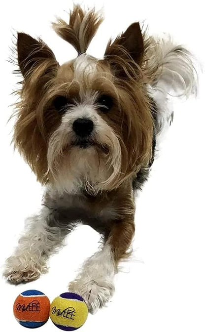 Midlee Squeaky Mini Tennis Ball for Dogs 1.5"- Pack of 12 (Yellow/Purple)