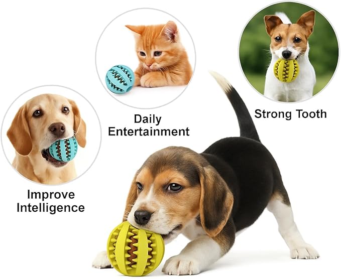 5 Pack Rubber Dog Chew Balls 6 cm – Durable Dental Chew Toys for Teeth Cleaning, Interactive Chewing Toy for Small, Medium and Large Dogs