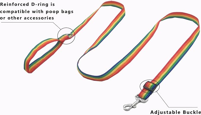 TAIAN Adjustable Nylon Dog Leash, 6FT/10 FT Long Dog Leashes for Small Medium Large Dogs (1 in x 6 ft, Rainbow)