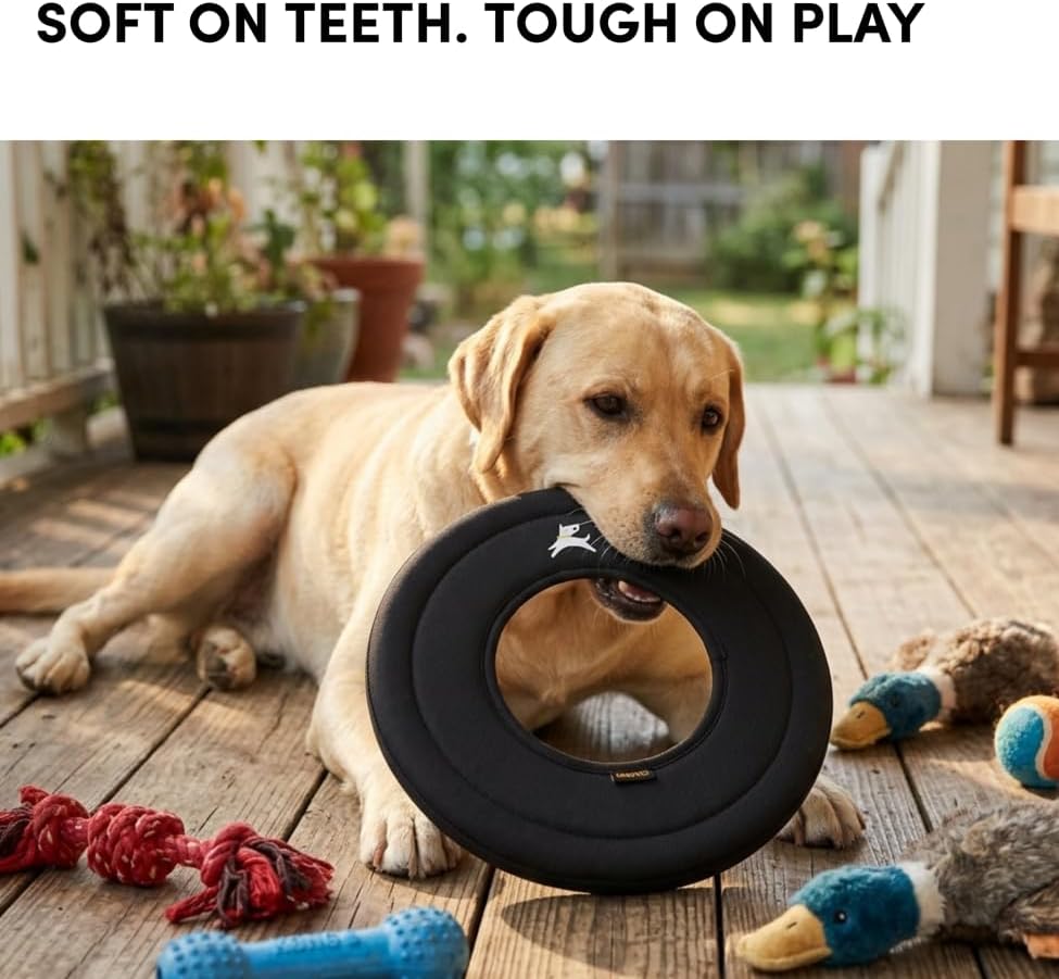 OllyDog Super Flyer Dog Flying Disc – Floating Fetch Toy for Water Play, Soft Eco-Friendly Recycled Fabric, Gentle on Teeth, 11" for Medium & Large Dogs (Raven, 11") - Image 3