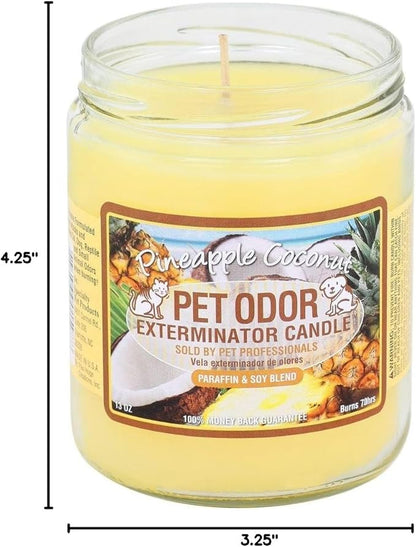Pet Odor Exterminator Candle, Pineapple & Coconut - Pack of 2