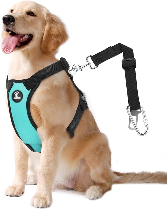 VavoPaw Dog Seat Belt, Safety Vest Dog Car Harness with Adjustable Buckle Dog Seat-Belt for Vehicle Nylon Pet Safety Seats Belts Heavy Duty(XL, Blue)