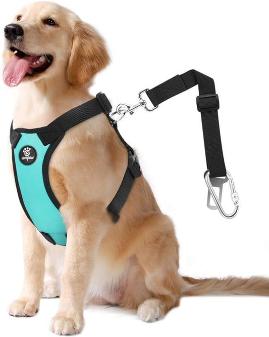 VavoPaw Dog Seat Belt, Safety Vest Dog Car Harness with Adjustable Buckle Dog Seat-Belt for Vehicle Nylon Pet Safety Seats Belts Heavy Duty(XL, Blue)