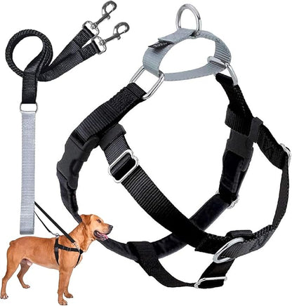 2 Hounds Design Freedom No Pull Dog Harness, Adjustable Harness and Leash Set, Easy Walking & Comfortable Control, Fits Small, Medium & Large Dogs, Solid Colors, Made in USA, 1" XL, Black