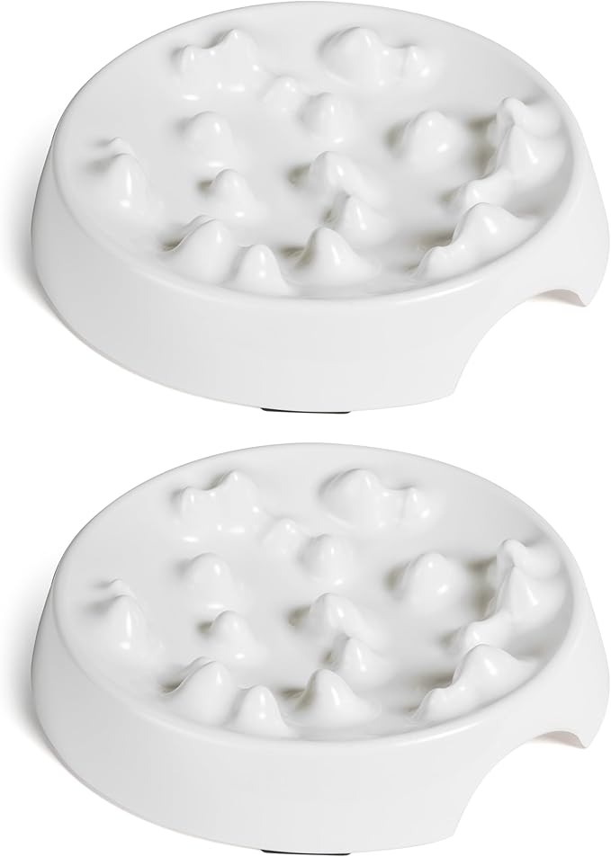 CatGuru Cat Bowls, Whisker Friendly Food Bowl for Indoor Cats, Reliefs Whisker Fatigue, Wide Kitten Dish, Non Slip Pet Dishes, Shallow Pet Plates