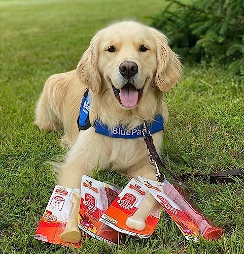 Nylabone Power Chew Original Bone Dog Chew Toy, Original Flavor, Large - Image 2