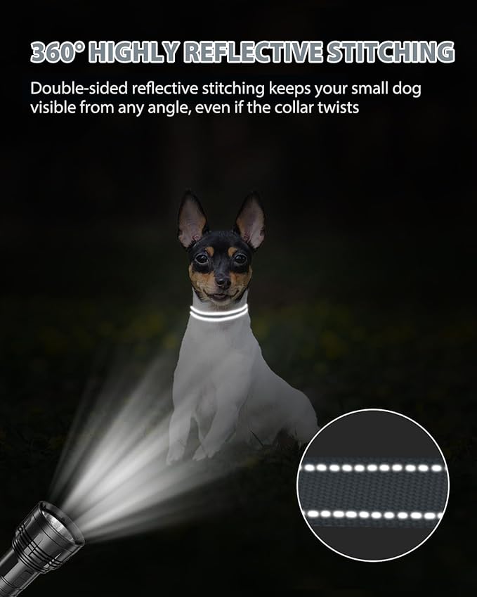 Joytale Puppy Collar, Feather-Light Double-Sided Reflective Nylon Collar for Night Safety, Adjustable Quick-Release for Extra Small Dogs, Gray, XS (3/8" Width)