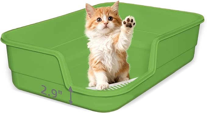 Extra Large Litter Box with Low Entry,Jumbo Cat Litter Box for Kitty and Senior Cats,Cat Box for Indoor Cats,Open Top Corner Litter Pan,Easy to Clean,23.6" L x 15.7" W x 5.9" H (Green)