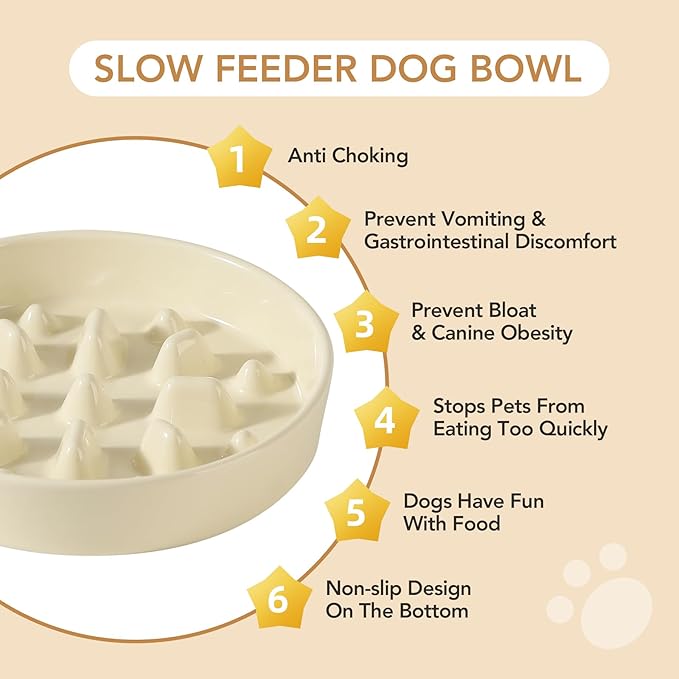 Ceramic 1.6 Cup Dog Bowl Slow Feeder, 8.2 inch Slow Pet Food Dish for Medium and Large Dog, Stop Bloat, Preventing Choking(Single Bowl, Light Yellow)