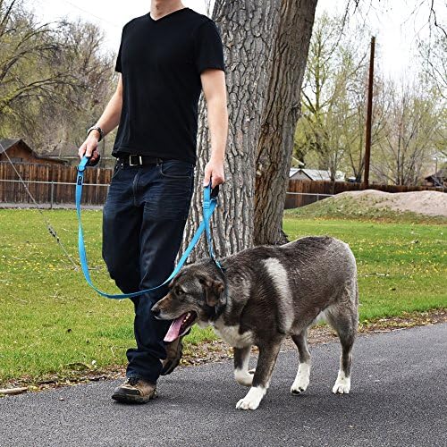 Wagtime Club Heavy Duty Double Handle Dog Leash for Large Medium Small Dogs - Image 6