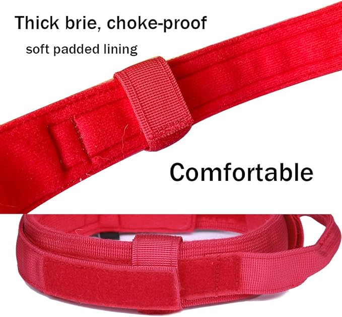 Xqpetlihai Tactical Dog Collar and Leash Set Adjustable Military Nylon Dog Collar with Control Handle and Heavy Duty Metal Buckle for Large Dogs（Red L