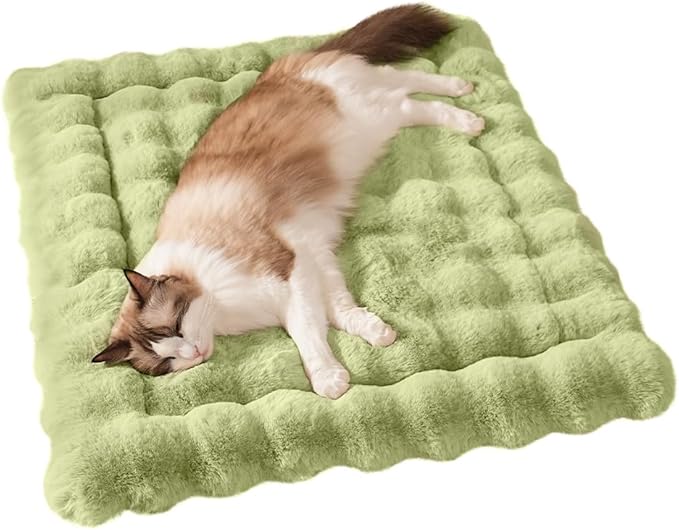 Cat Bed Mat, Soft Plush Faux Fur Kneading Pet Bed, Machine Washable Cat Sleeping Pad for Indoor Cats & Kittens, Non-Slip Fluffy Cat Rug for Couch Sofa Floor, 23x15 Inch Green