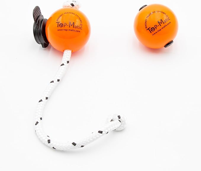 Magnetic Training Ball – 2.5" Diameter, Earth Magnet Reward Tool for Professional Dog Trainers, Works with Magnetic Training Systems