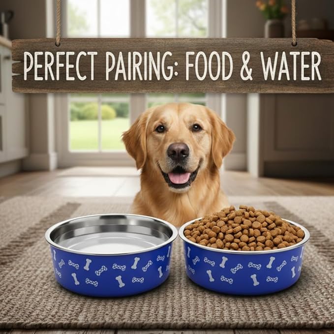 Anti-Skid Stainless Steel Dog Bowl with Anti-Skid Base, 32 fl oz | Food & Water Bowl for Small Dogs, Puppies & Cats, | Durable Pet Bowl, Blue Bone Print