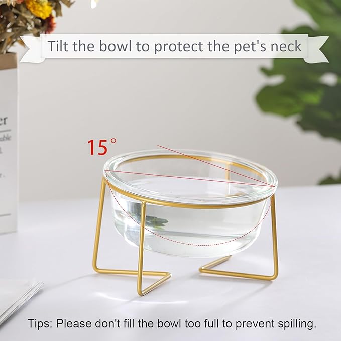 Small Glass Tilted Elevated Cat Dog Bowl Raised Cat Food Water Bowl Dish Pet Comfort Feeding Bowls with Gold Iron Stand
