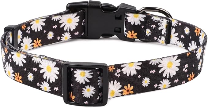 QQPETS Adjustable Soft Dog Collar: Print Flower Pink Multicolor Cute Patterns for XS Small Medium Large Pet Girl Boy Puppy Walking Running Training (S, White Daisy)