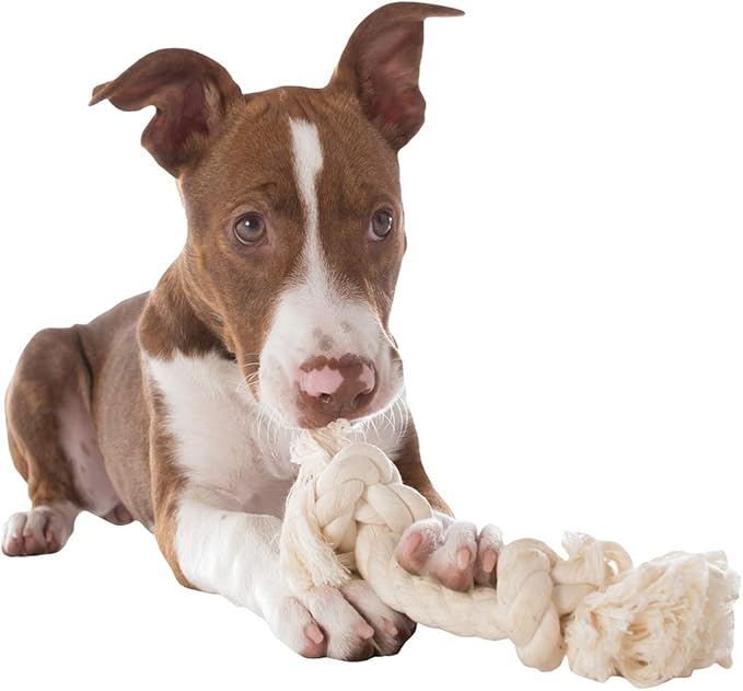 Mammoth Flossy Chew Small White Bone