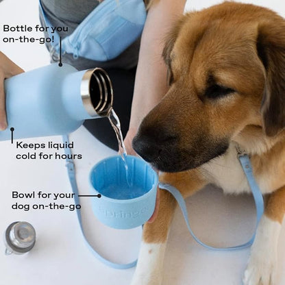 Springer Dog and Me Water Bottle, Stainless Steel Insluated Water Bottle, Keeps Water Cold for 12 Hours (Sky Blue)