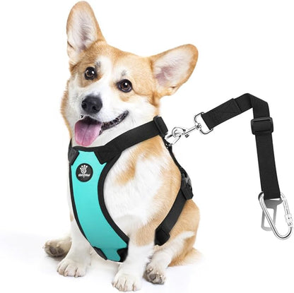 VavoPaw Dog Seat Belt, Safety Vest Dog Car Harness with Adjustable Buckle Dog Seat Belt for Vehicle Nylon Pet Safety Seat Belts Heavy Duty(M, Blue)