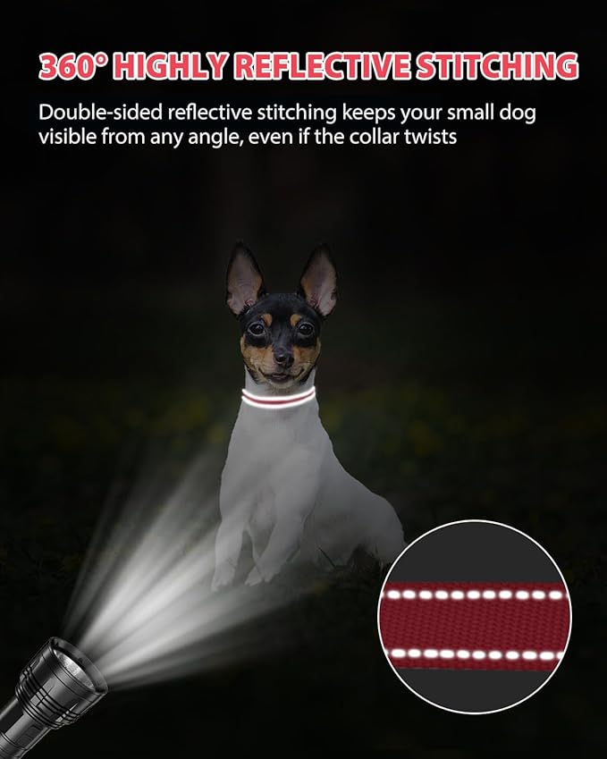 Joytale Puppy Collar, Feather-Light Double-Sided Reflective Nylon Collar for Night Safety, Adjustable Quick-Release for Extra Small Dogs, Red, XS (3/8" Width)