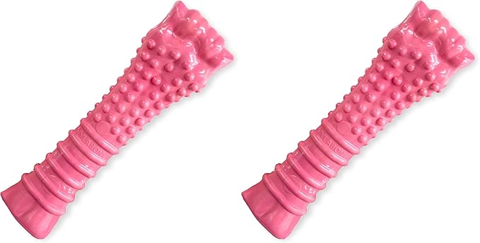 Nylabone Power Chew Breast Cancer Awareness Femur Bone Chew Toy for Dogs, Indestructible Dog Toys for Aggressive Chewers, Chicken Flavor, X-Large/Souper (1 Count) (Pack of 2)